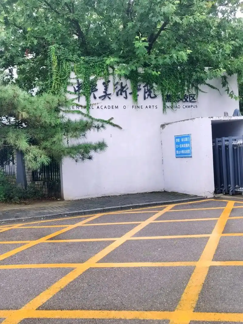 每年仅招收200名全国精英中的精英——中央美术学院附中,当你 - 抖音