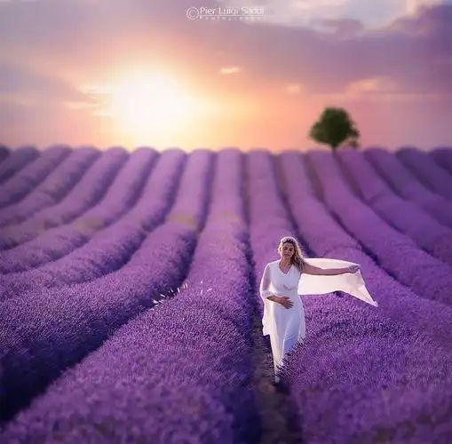 在薰衣草里拍出唯美照