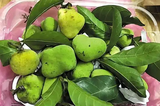 寻桂木果香忆儿时味道