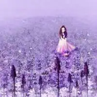 薰衣草微信头像图片大全集【点击鼠标右键下载】