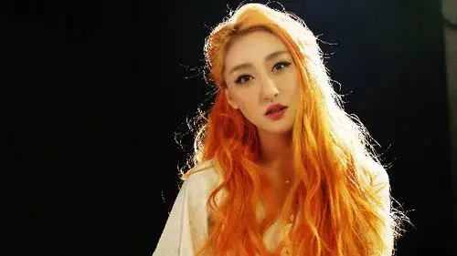 王金金经纪人电话王金金出场费王金金超级女声人气王