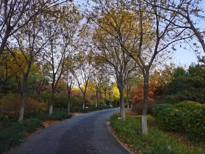 发现身边的美---晨走博大公园