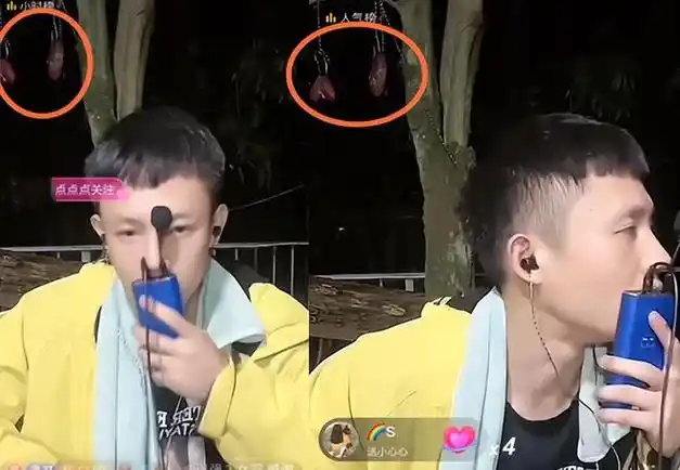 缅甸小鬼真实身份被扒直播时树上挂腰子偷笑要礼物疑幕后大佬
