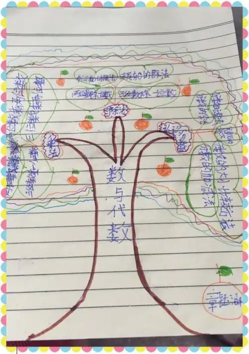 三(8)班孩子整理复习(数与代数)的思维导图