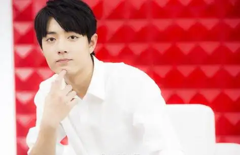 肖战家庭八字(肖战八字配偶年纪)-星座大全-小星座网