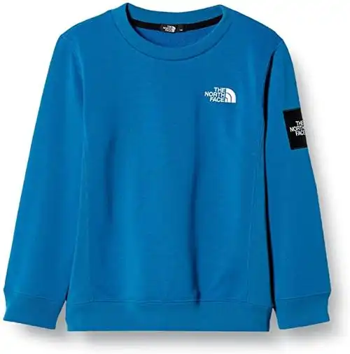 the north face 北面 运动衫 方形商标儿童款