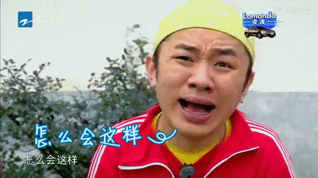 王祖蓝gif逗比gif搞笑gif短发gif