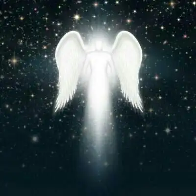 十二翼黑暗炽天使