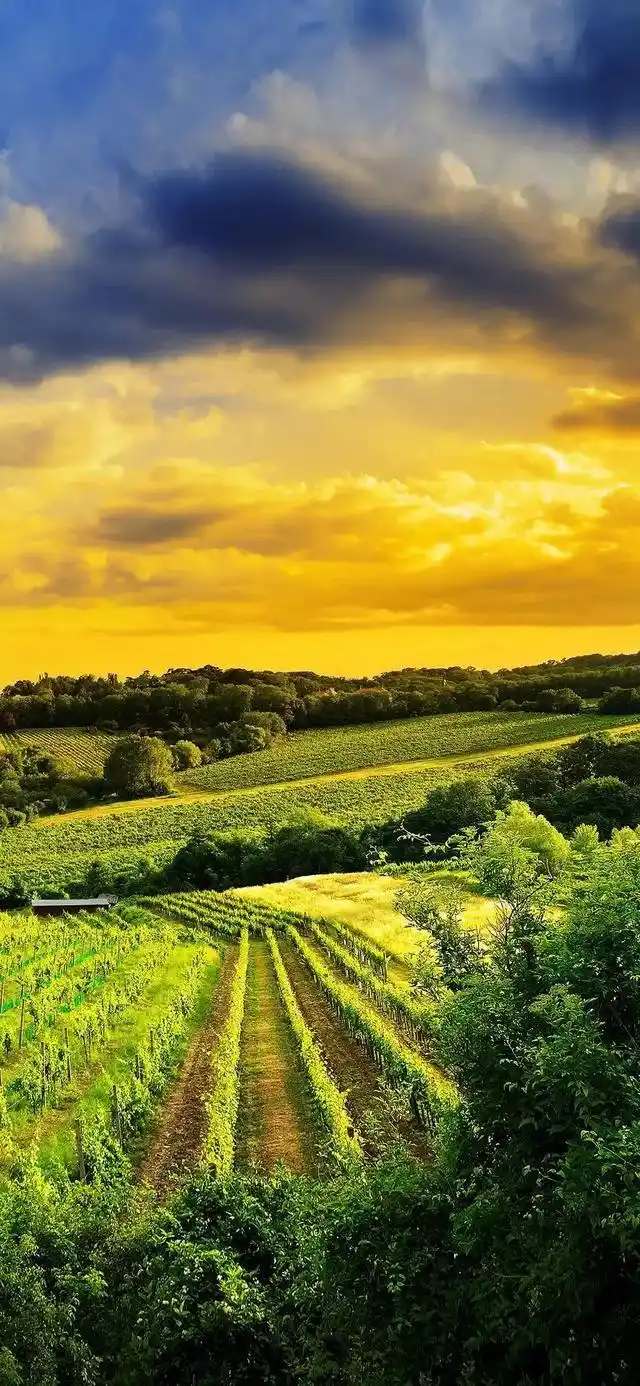 乡村田园风光全面屏手机壁纸