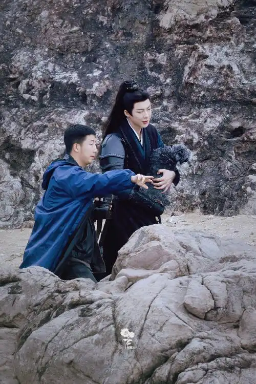 经纪人6连拍 第三视角9615#刘宇宁魏劭#|#刘宇宁折腰#摩登兄弟