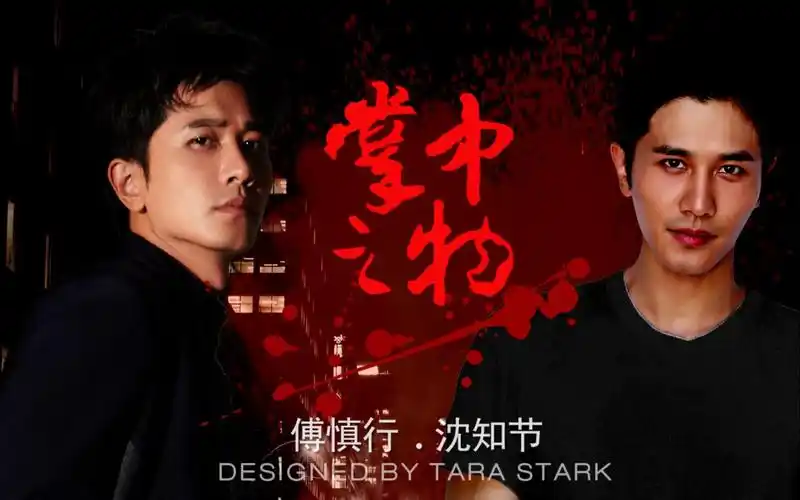 掌中之物彭冠英傅慎行沈知节暗黑人生