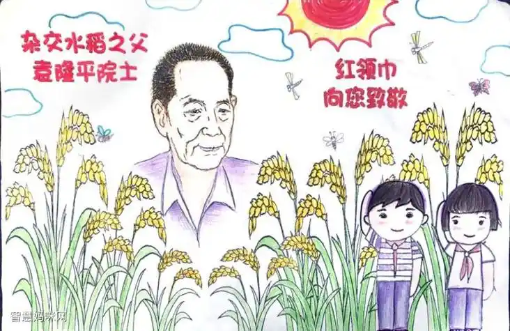 缅怀致敬杂交水稻之父手抄报缅怀先烈手抄报
