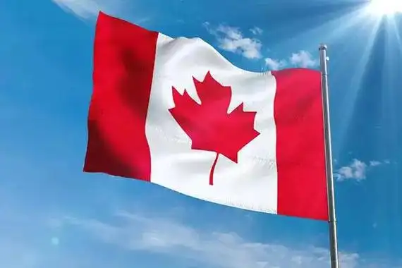 加拿大枫叶卡有什么用