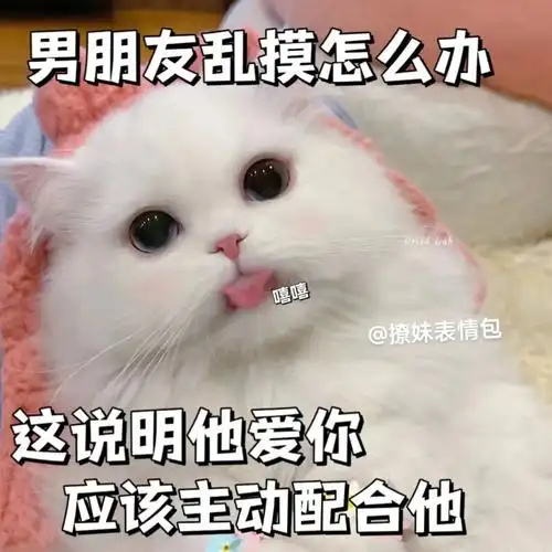 发给对象表情包 #表情包 #撩妹表情包 #猫咪表情包 #情 - 抖音