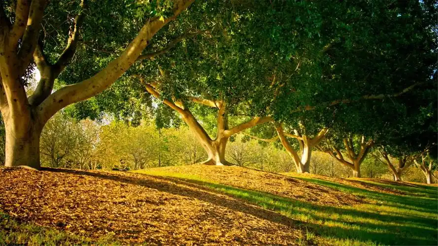 非主流,唯美意境,lomo风格壁纸你是文艺青年吗?你是小清新吗?