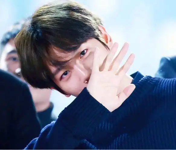 边伯贤/治愈一切不良情绪的最强笑眼 出道8年圈粉无数的神仙爱豆 南韩