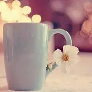 唯美小清新物品头像爱意满满的小物品图片头像