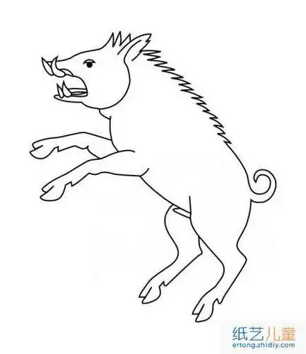 野猪骑士简笔画