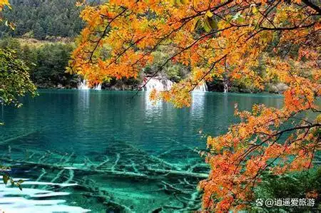 中国四川省阿坝藏族羌族自治州境内,是国内最著名的自然风景区之一