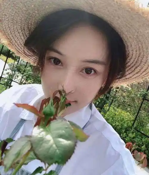 张馨予在微博中表示:"每天我都会观察这些花苞和小芽,看到它们发生的