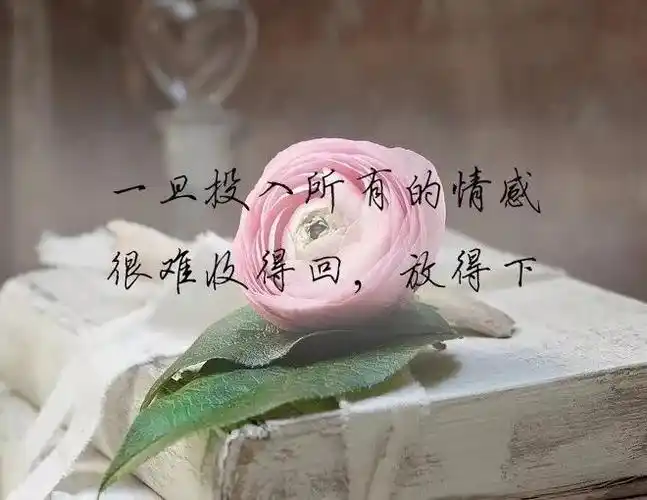 万里挑一的心酸短句第一句就戳心