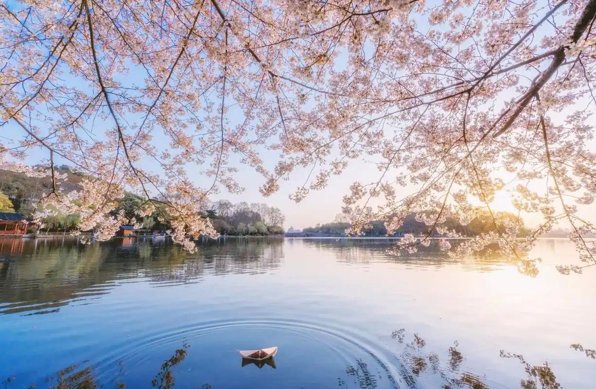 西湖十景之首"苏堤春晓"最佳机位在哪 "苏堤春晓"在南宋时就被列为