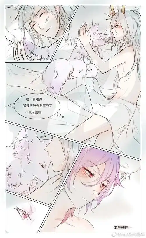 狐狸.好萌.信白cp