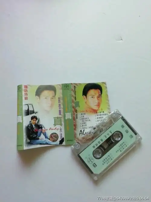 刘德华真永远国语特辑