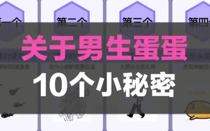 关于男生蛋蛋的10个小秘密