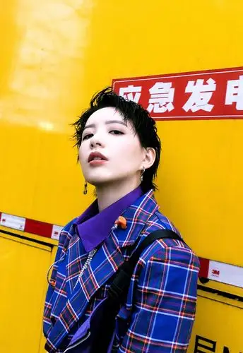 > 李斯丹妮紫色格子衬衫时尚写真(6/6)