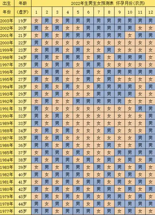 2023清宫图生男生女表准确度全面解析,一分钟让你轻松测男女 - 新阳