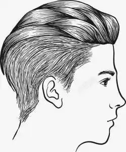 手绘篮球教练男士手绘侧脸男士高清图片