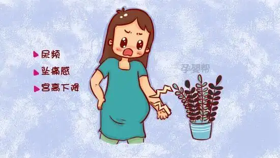 胎儿入盆是什么感觉这6种症状告诉你