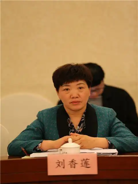 来自驻马店基层乡村的刘香莲第一次当选全国人大代表