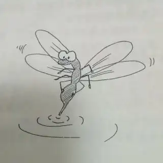 蜻蜓点水