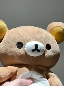 正版轻松熊 kuma 易烊千玺同款 m码 几乎全新 搬家出闲