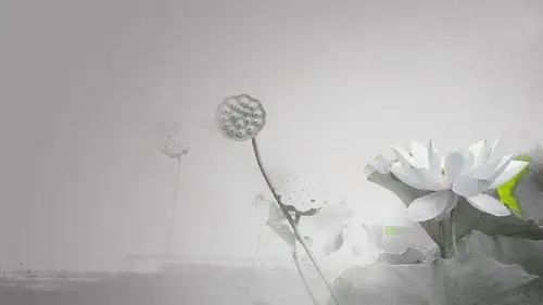 清新淡雅中国风绘画桌面壁纸