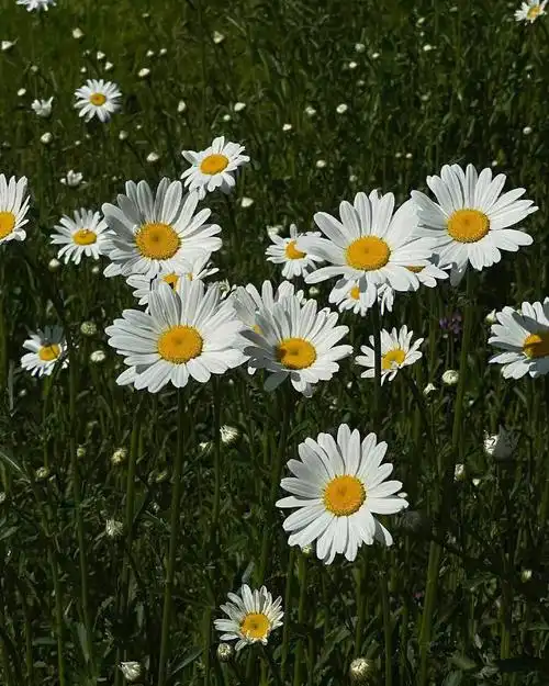 分手快乐祝你快乐