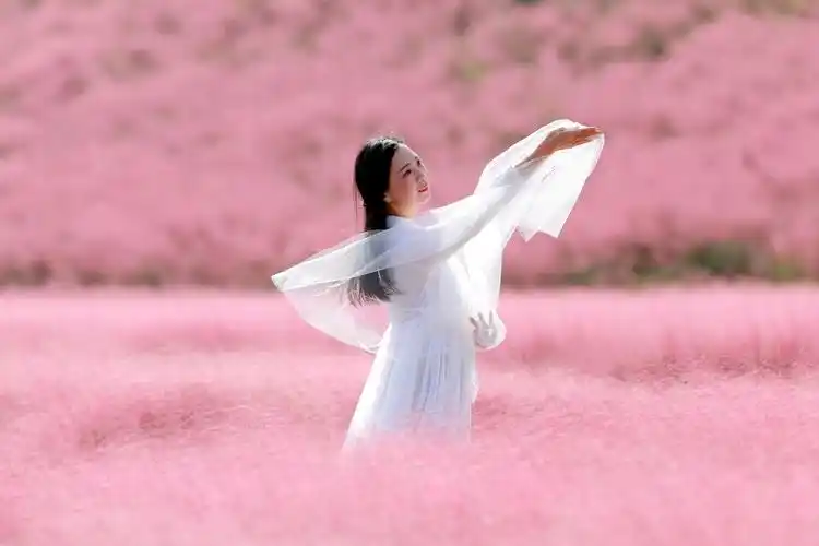 粉黛花海中的我们