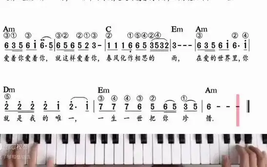 电子琴简谱带和弦《爱的世界只有你》