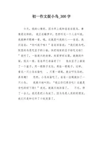 初一作文捉小鸟300字