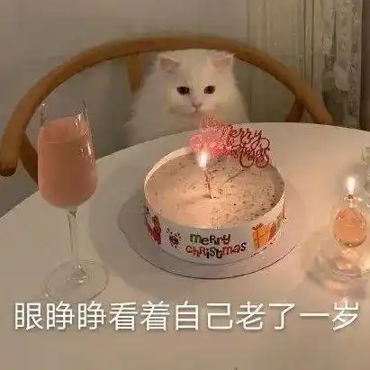 merry眼睁睁看着自己老了一岁猫咪生日快乐表情包猫咪merry表情
