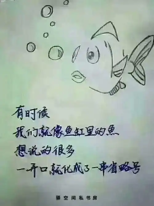 往往在不自由时渴望自由