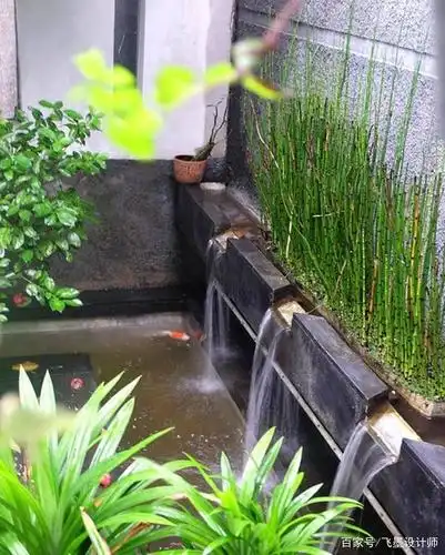 有院子的看过来!喷泉 玻璃鱼池的组合,下班回家一看:多亮眼啊