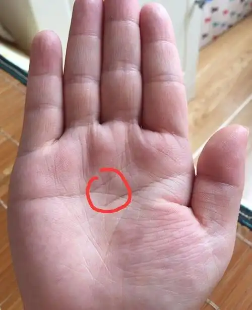 男人手相财运线,男人短命的手相,女人富贵命罕见手相