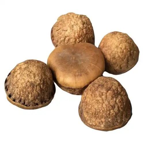 佳雨参茸 壮阳果