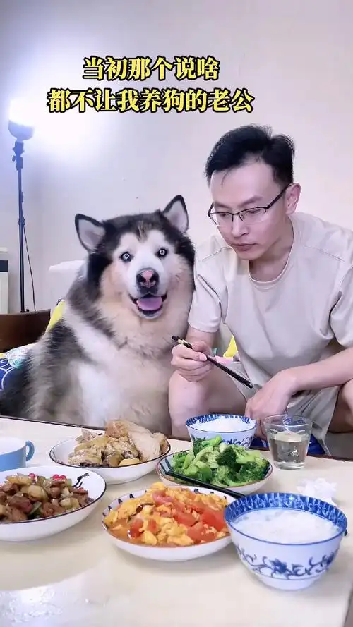 当初那个说啥都不让我养狗的老公,你看看现在都成啥样了#当你有只嘴馋