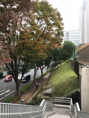 但这里都是统一的非常漂亮的榉树作行道树,看树龄这里建成有二,三十年