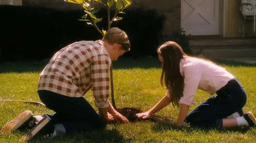 喜欢不只是怦然心动(怦然心动)影评