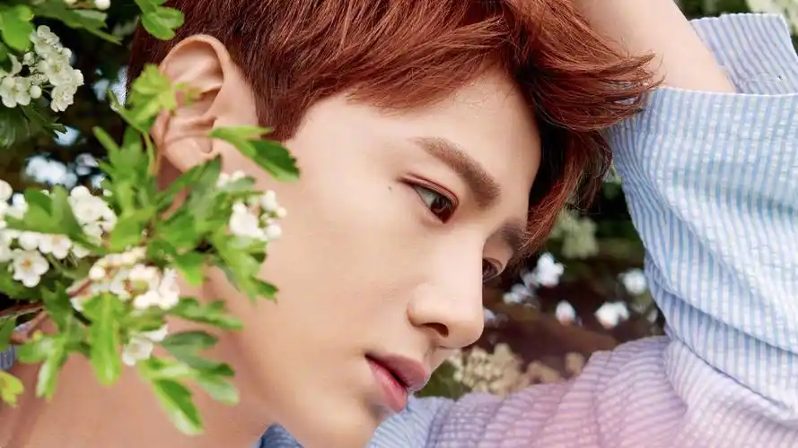 明星 白敬亭 明星风尚壁纸